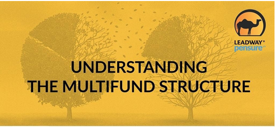 MULTIFUND STRUCTURE